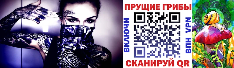 Псилоцибиновые грибы GOLDEN TEACHER  hydra сайт  Верхняя Пышма  цена наркотик 